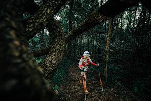 BIB: 
                            <button type="button" onclick="openModal(25683259)" class="btn btn-primary btn-sm float-right btn-popup" data-toggle="modal" data-target=".modal-high-quality">
                        <i class="fas fa-shopping-cart"></i> Add to Cart
                    </button>
                                            <button type="button" onclick="isThisMe(25683259, true)" class="btn btn-success btn-sm float-right btn-popup btn-isme hidden" data-toggle="tooltip" data-placement="bottom" title="นี่คือรูปของคุณใช่ไหม คลิกที่นี่เพื่อเอาเข้าอัลบั้ม">
                        <i class="fas fa-plus"></i> Add to album
                    </button>
                    <button type="button" onclick="isThisMe(25683259, false)" class="btn btn-warning btn-sm float-right btn-popup btn-isnotme hidden">
                        <i class="fas fa-ban"></i> Remove from album
                    </button>